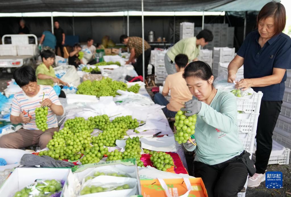 必赢客手机版官网平台